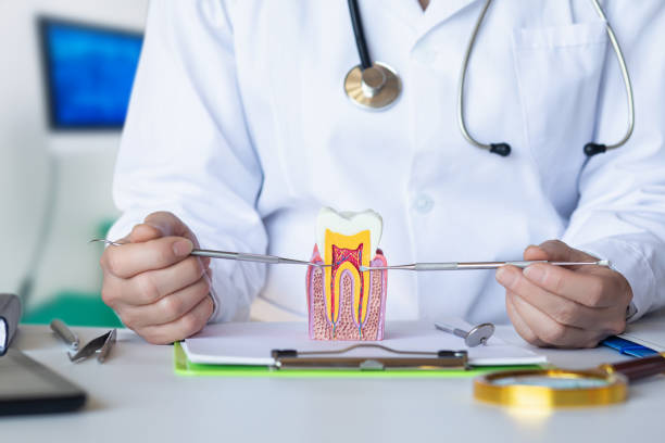 Best Emergency Cosmetic Dentistry in Day Valley, CA